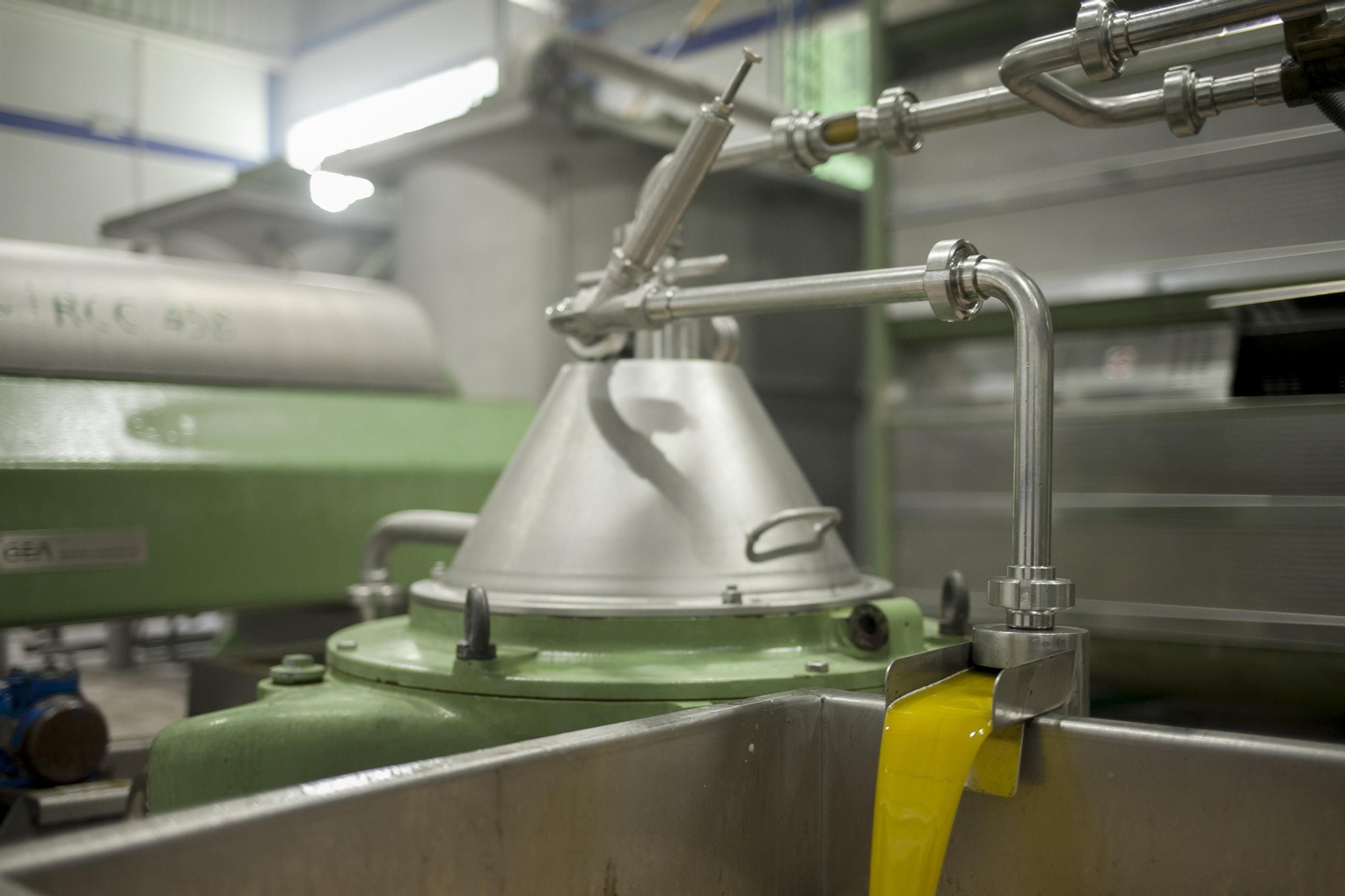 Interior de una almazara.