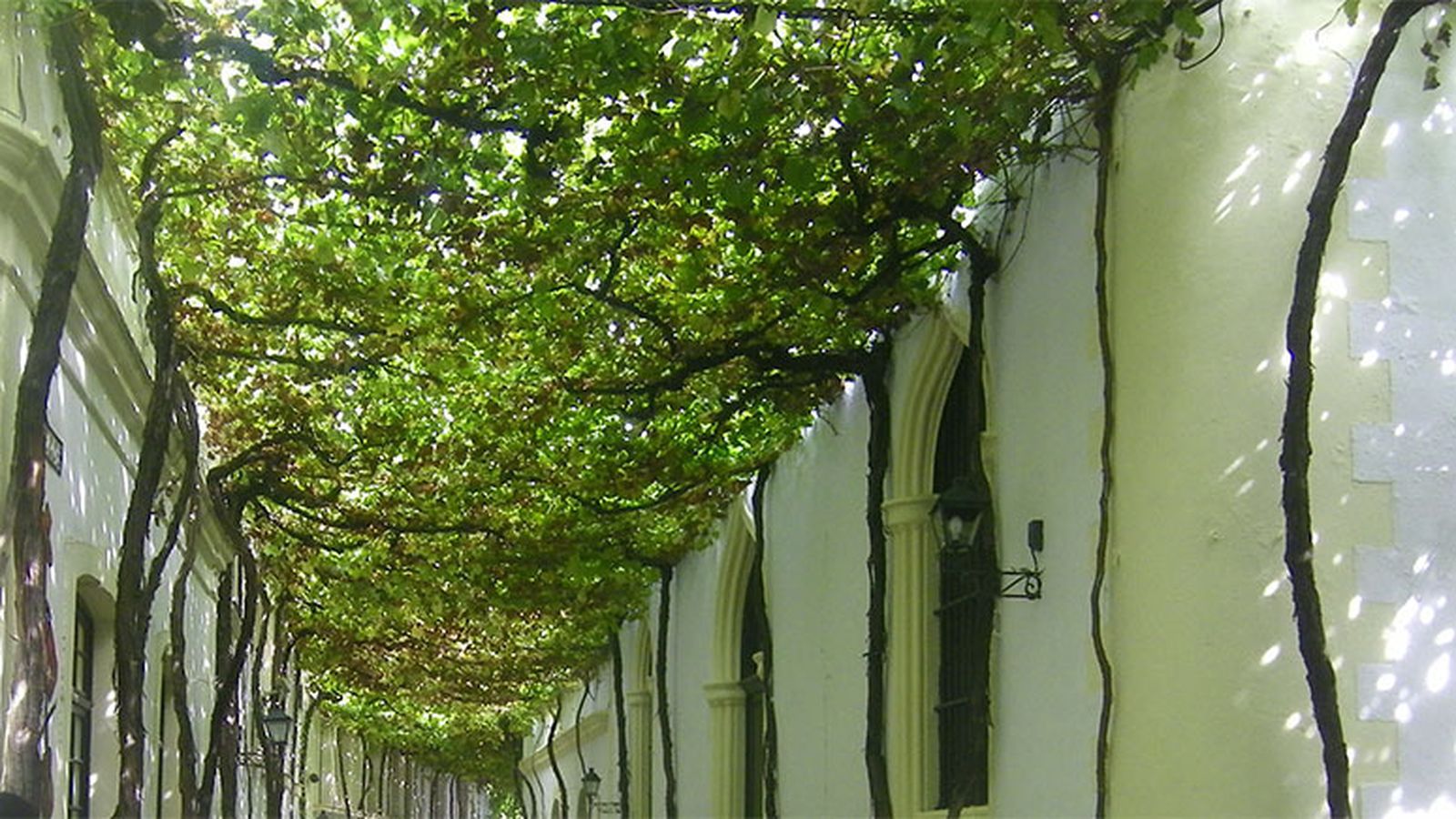 Bodega Gonzalez Byass