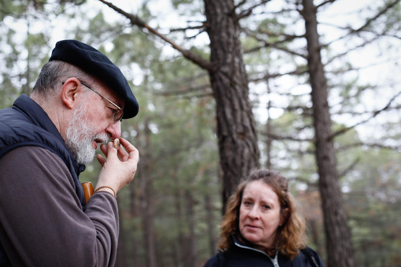 La ruta recolectora de setas en Abla por las XIX Jornadas Micológicas, en imágenes