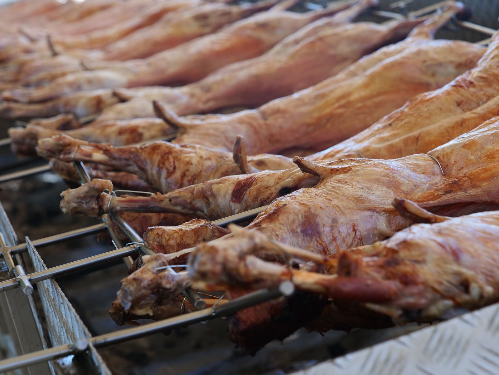 La segunda jornada de la X Feria del Pastoreo de Villaralto, en imágenes