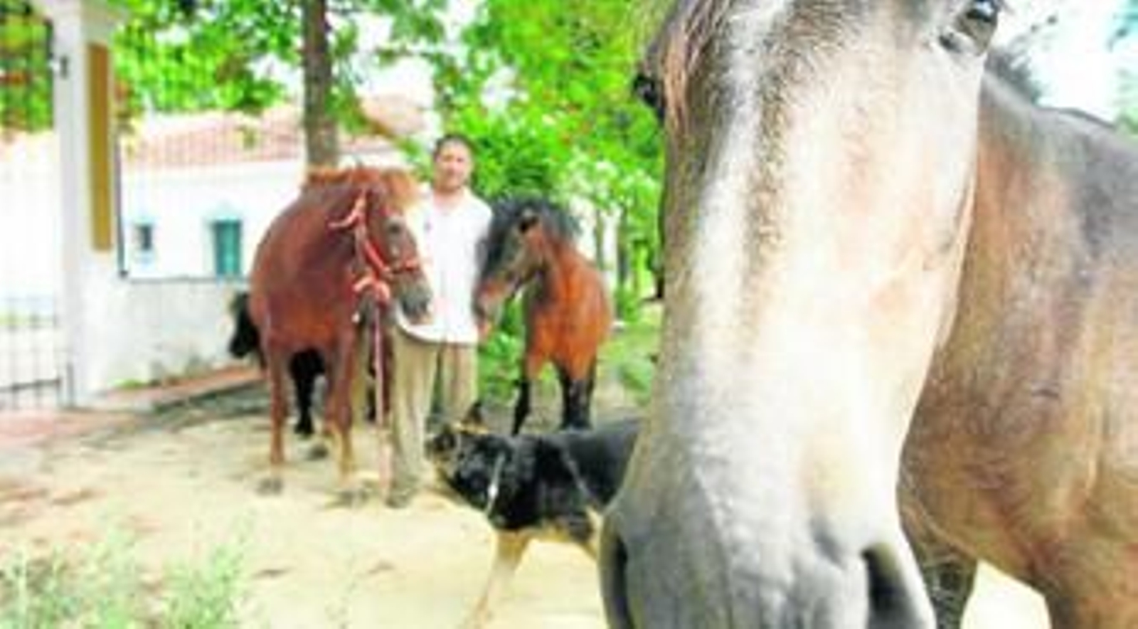 El gerente del Aula de la Naturaleza de Castellar posa junto a varios de los animales con los que cuenta la instalación, situada en el Parque Natural de Los Alcornocales.