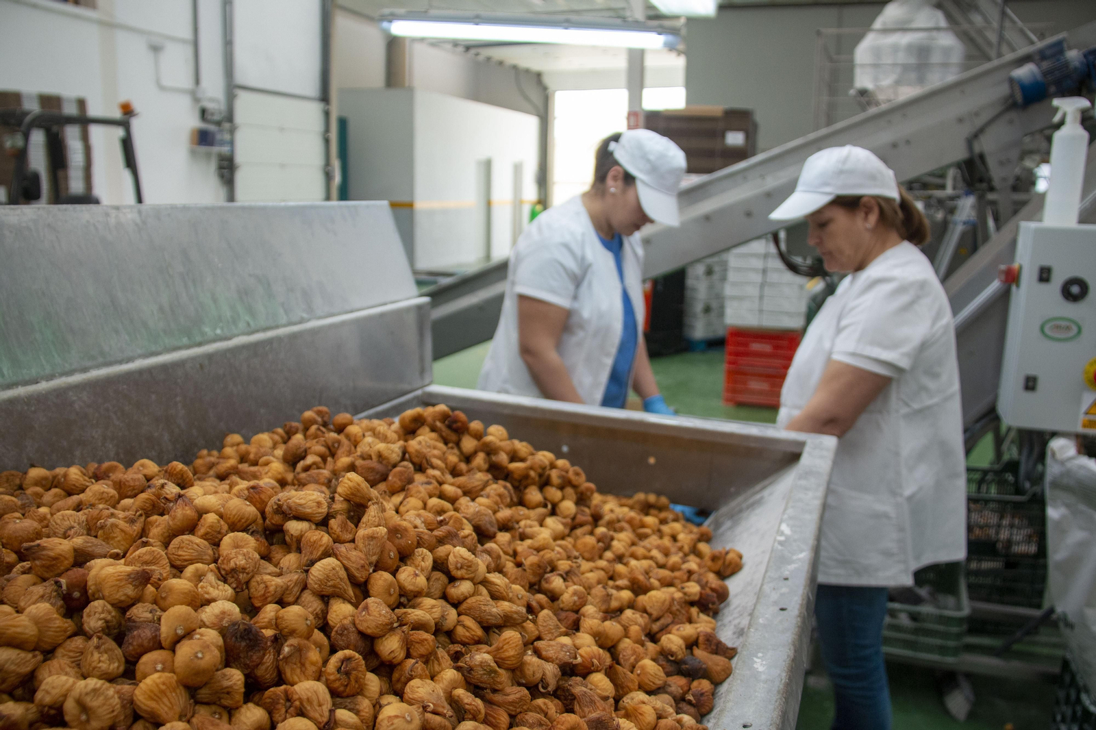 Los higos de la Alpujarra que se comercializan en Estados Unidos o China