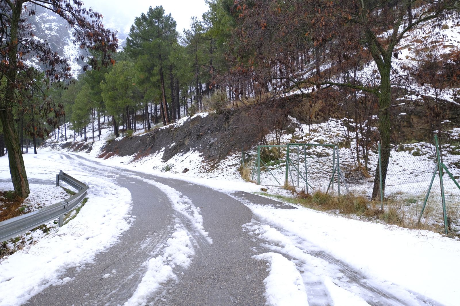 Fotogalería nevada en la Provincia de Almería