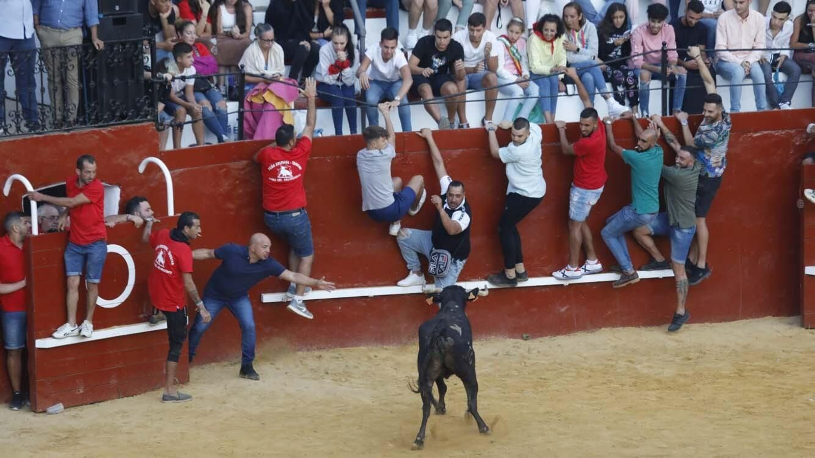 Las fotos del Toro del Aguardiente de San Roque