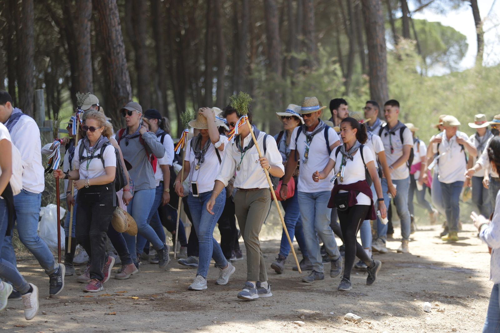 Todos los peregrinos de la Hermandad de Huelva, en imágenes