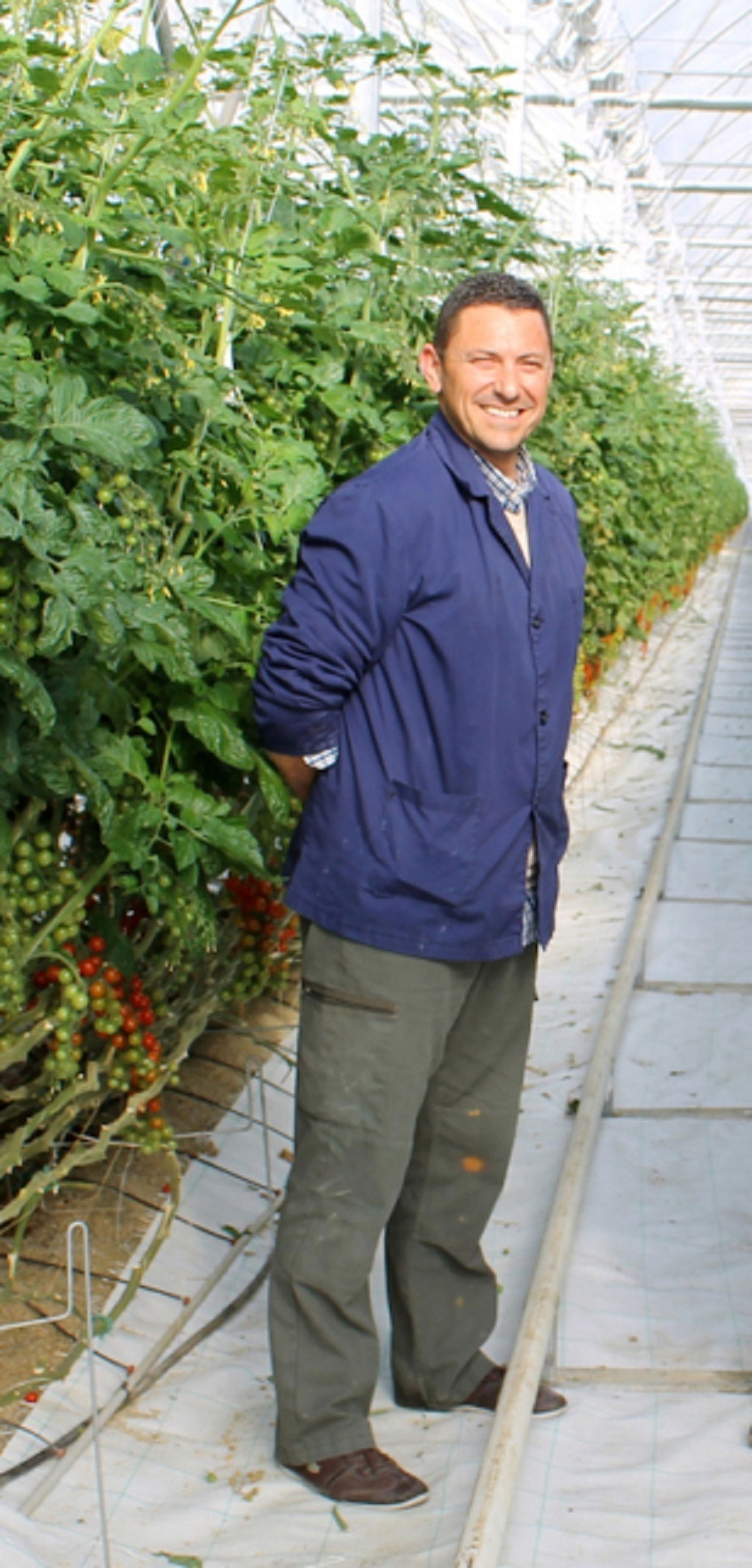 Salvador Belmonte cuenta con una finca de 11,5 hectáreas donde cultiva especialidades de tomate.