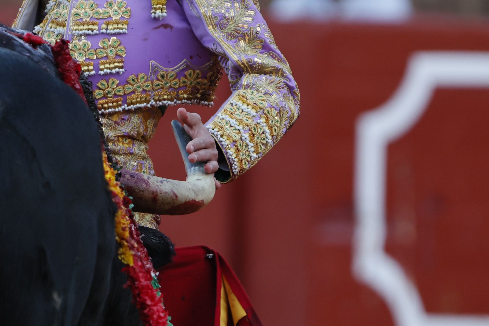 Las imágenes de la Novillada