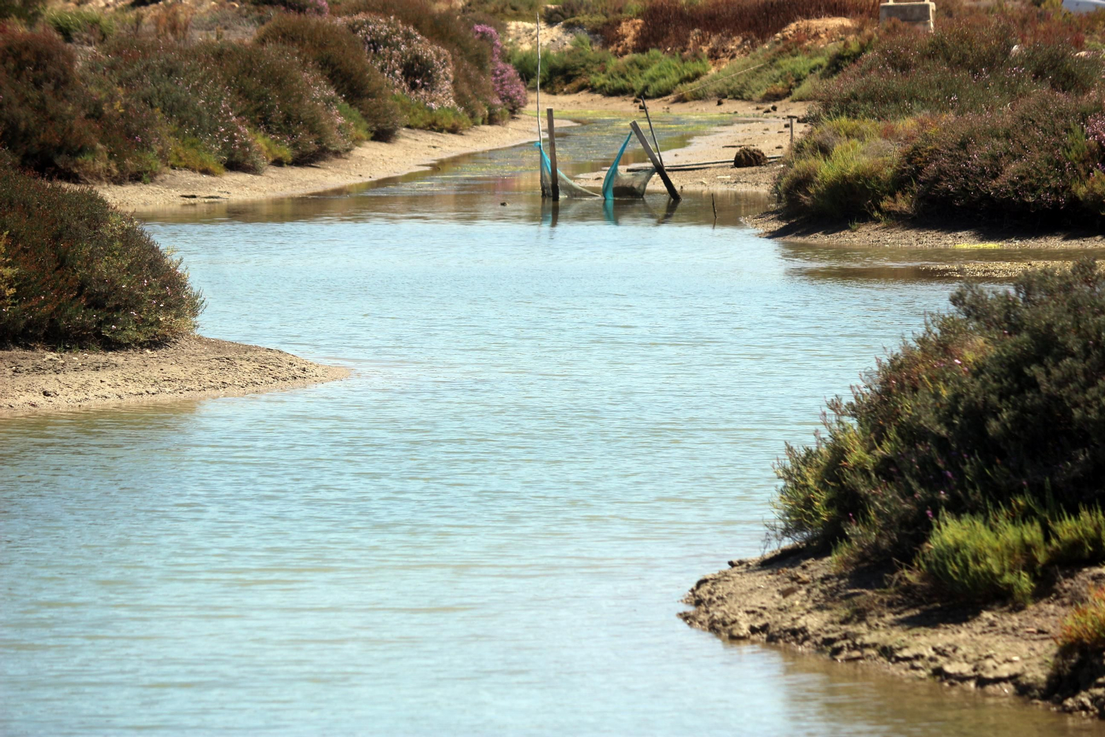 La recuperación de la Salina Balbanera, en imágenes