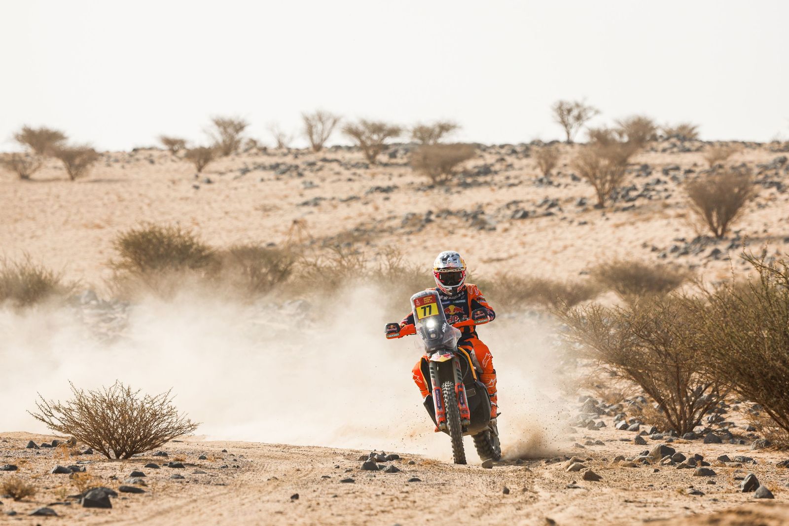 Las mejores fotos del Rally Dakar | undécima etapa