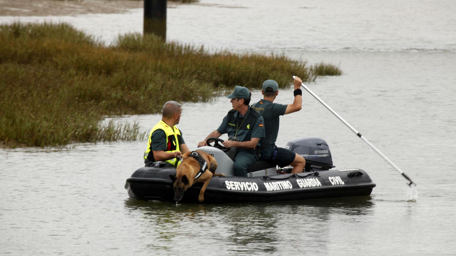 Imagen del dispositivo de búsqueda de Kiko en las inmediaciones de La Antilla.