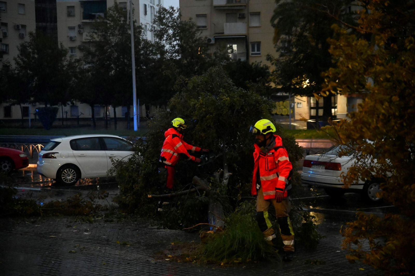 Las imágenes de los daños causados por el fuerte viento en el Sector Sur en Córdoba