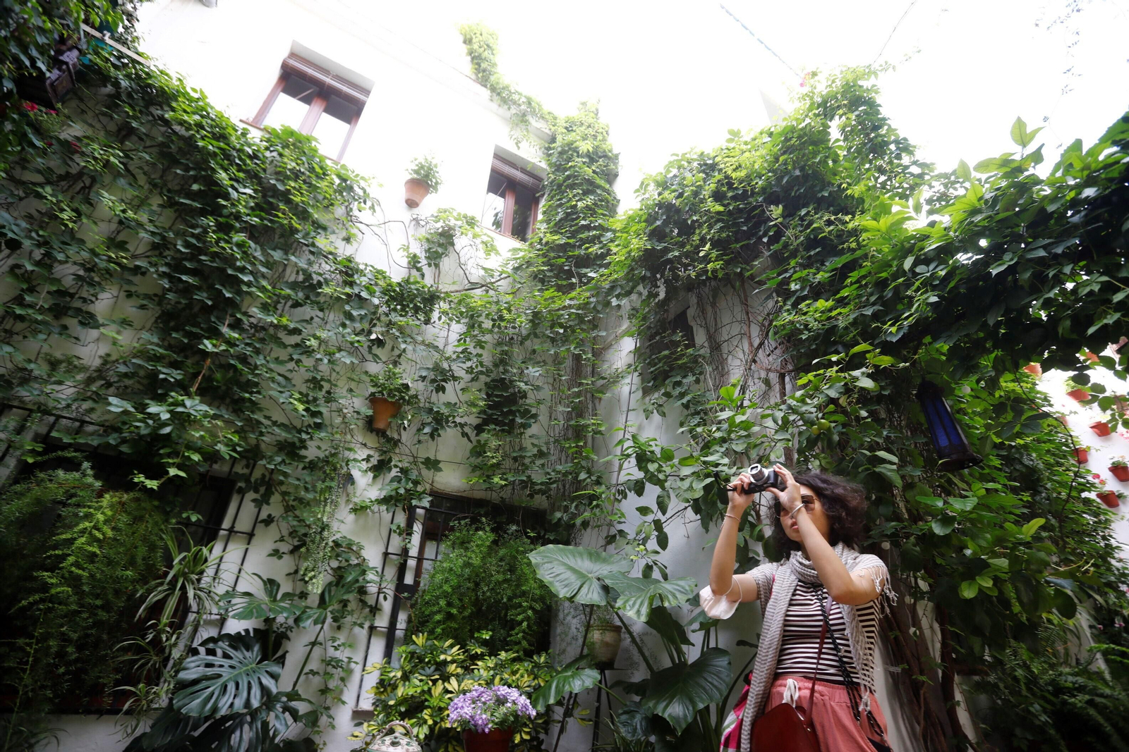 Los patios de Córdoba de la ruta Judería-San Francisco, en imágenes