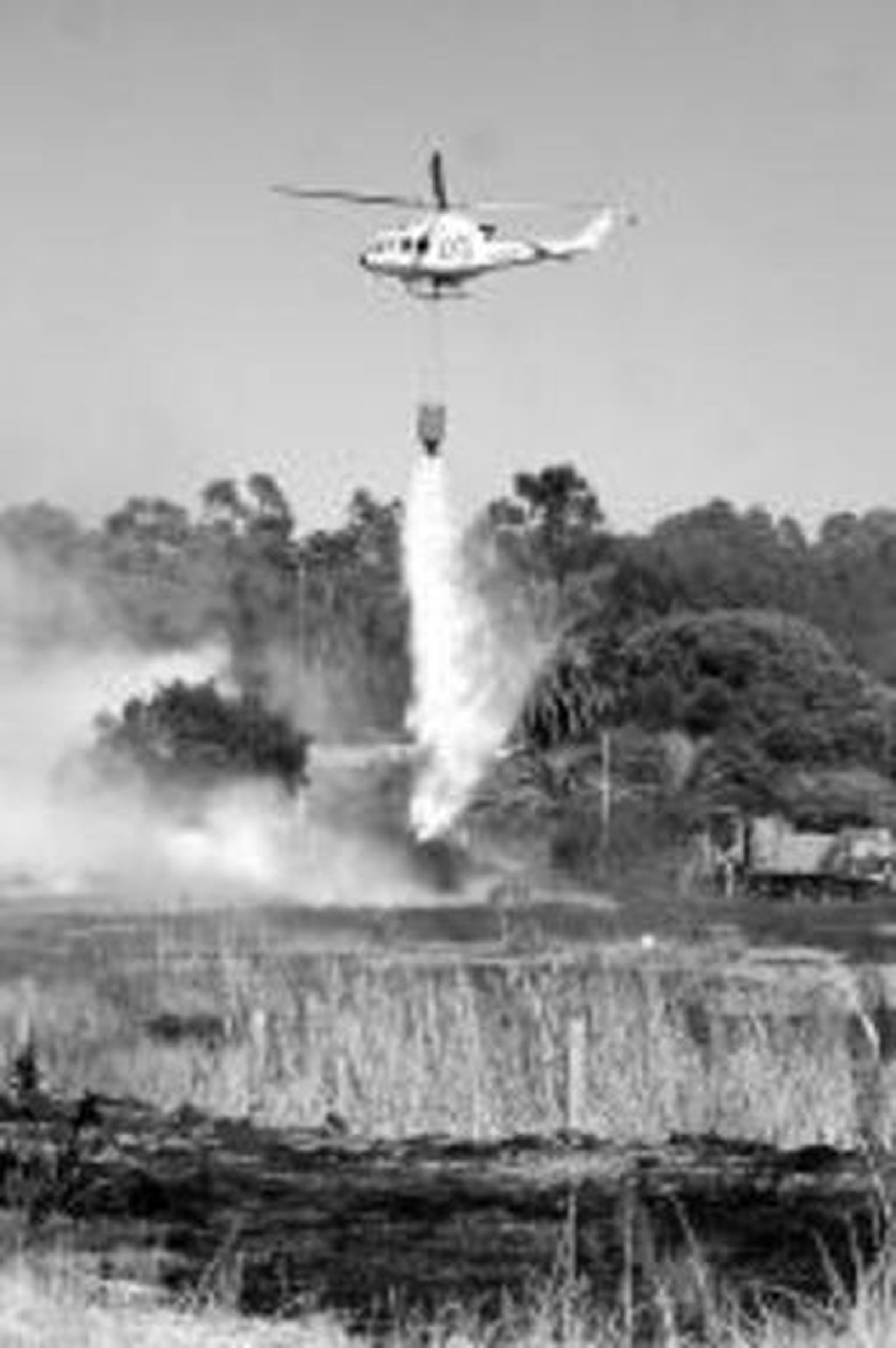 Uno de los incendios del pasado verano en Huelva.