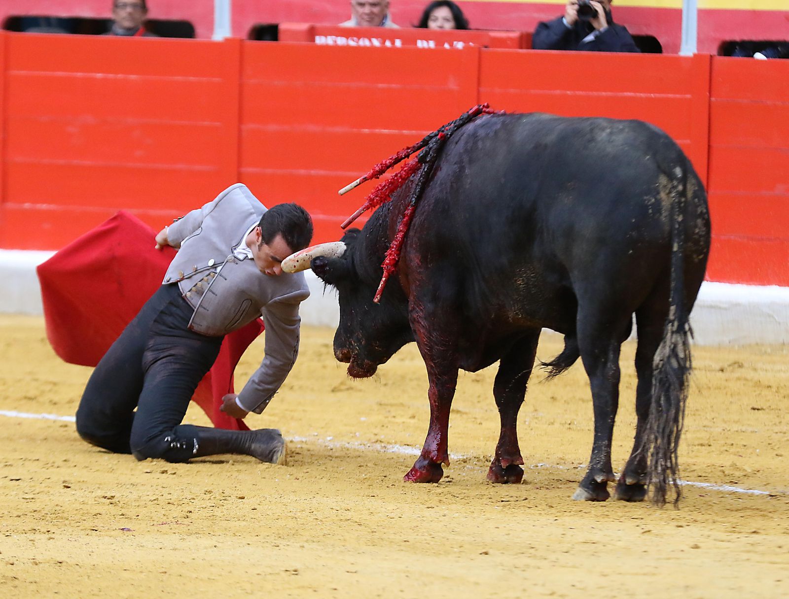 El Festival Taurino Granadown, en imágenes