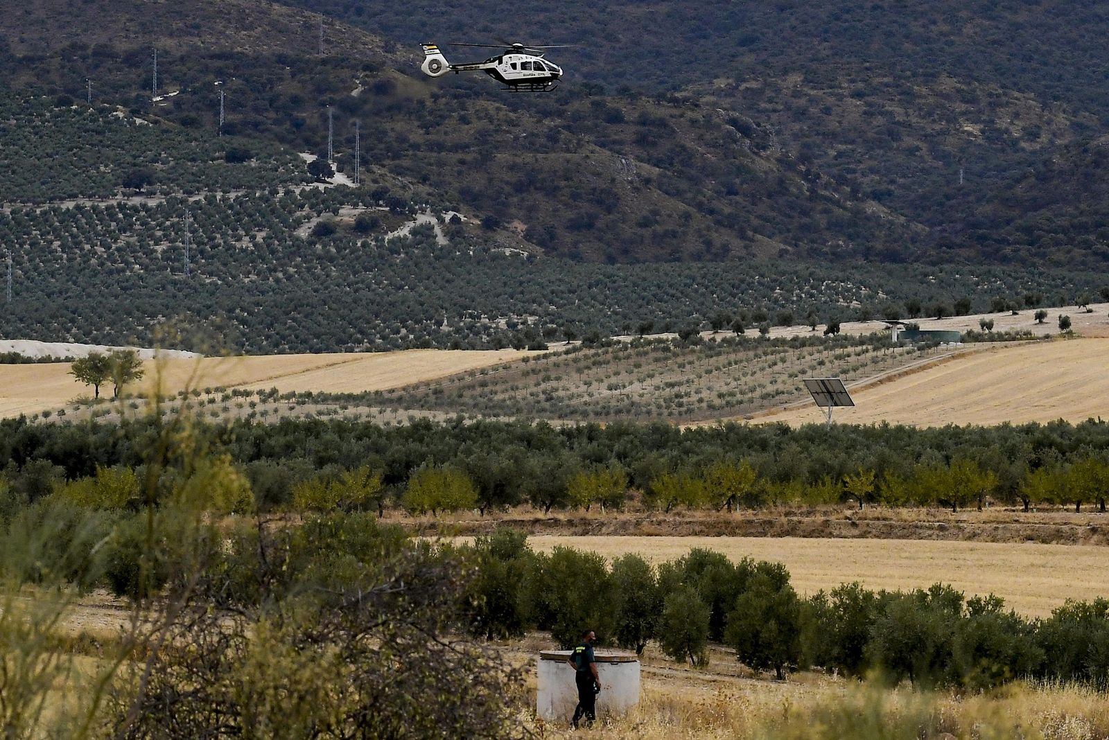 Fotos: así está siendo hoy la búsqueda de la pantera de Granada por tierra y aire