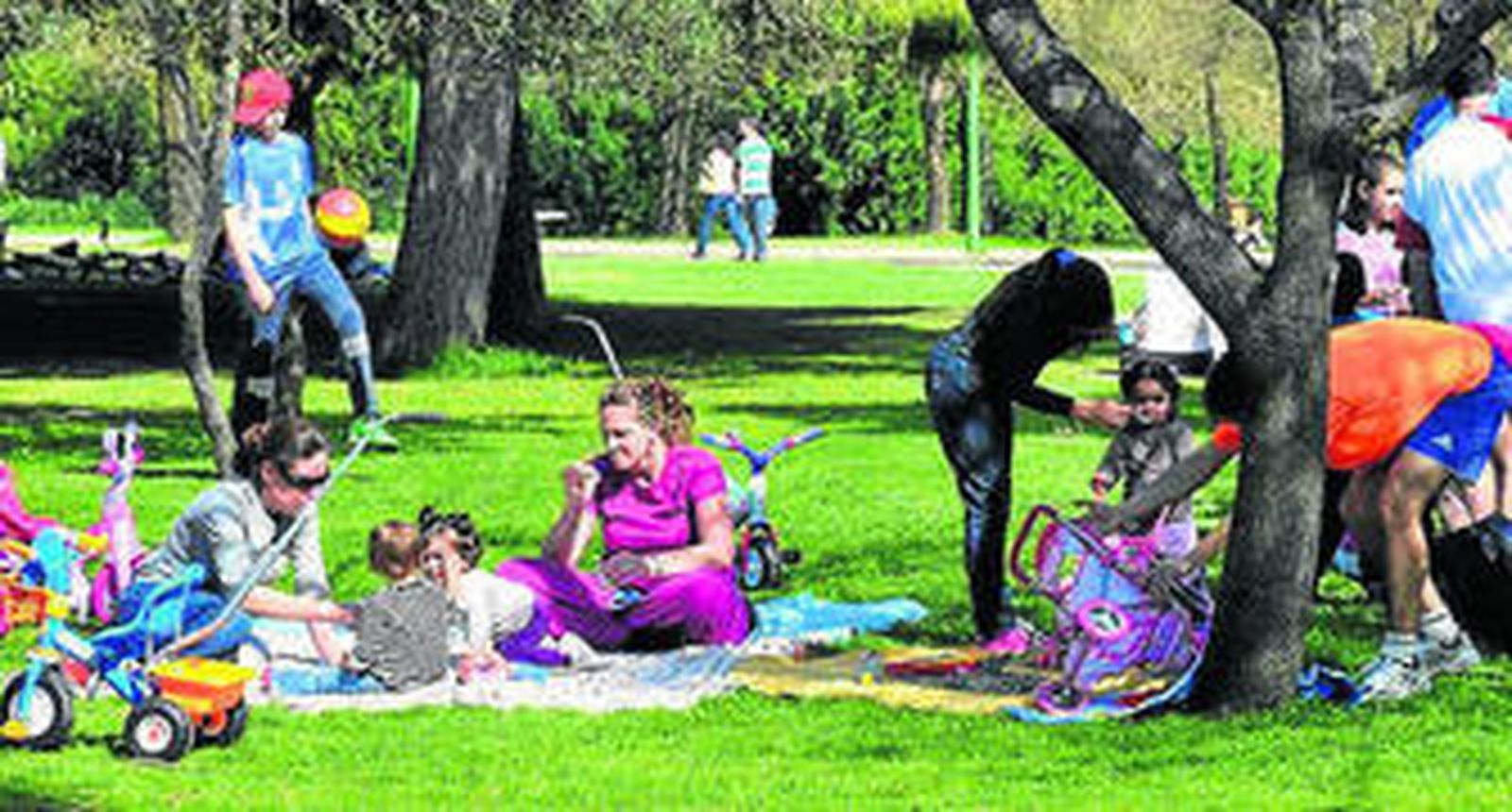 Uno de los rincones más familiares del Alamillo.