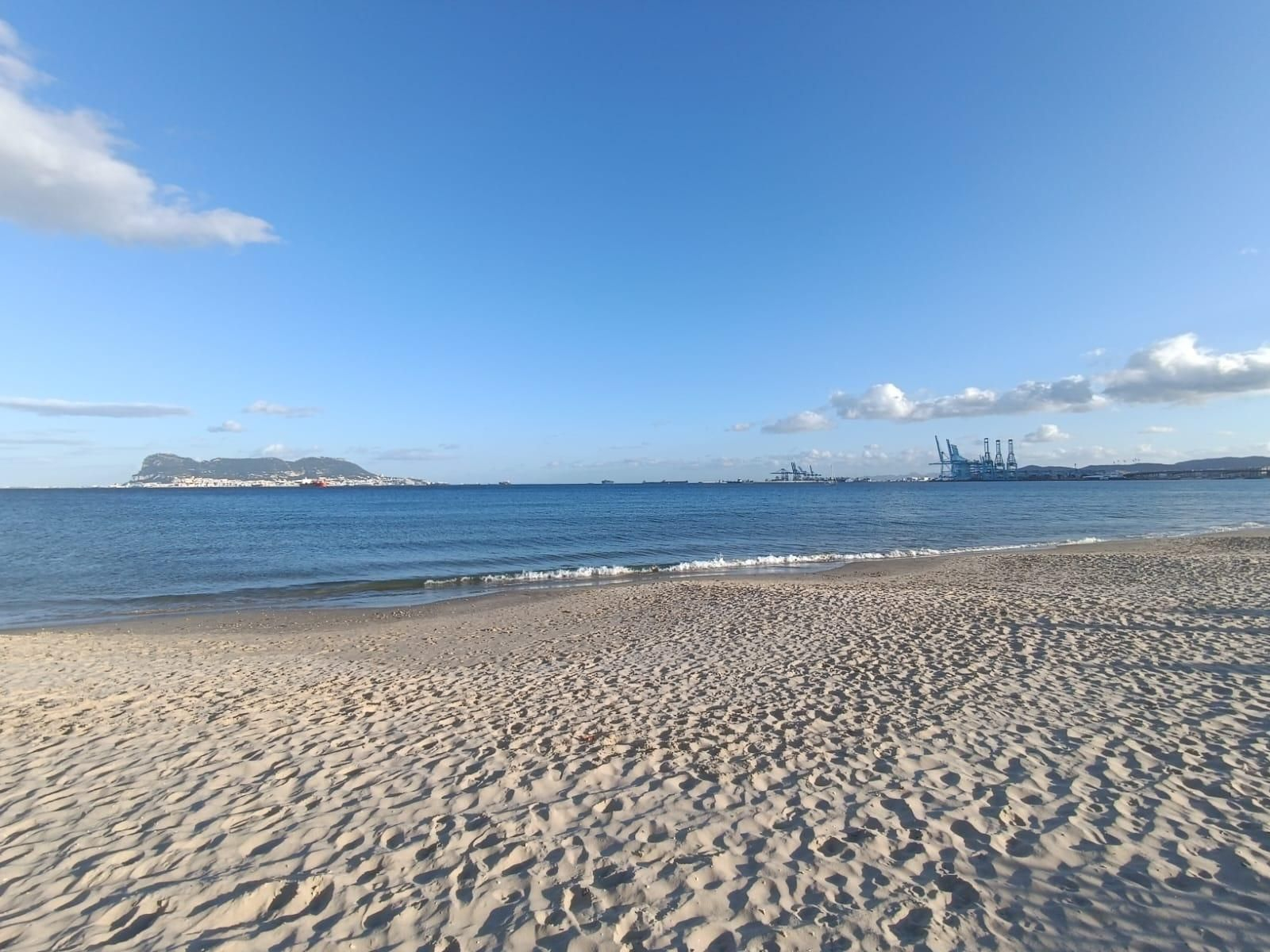 WhatsApp Image 2025-02-13 at 11.32.24.jpeg