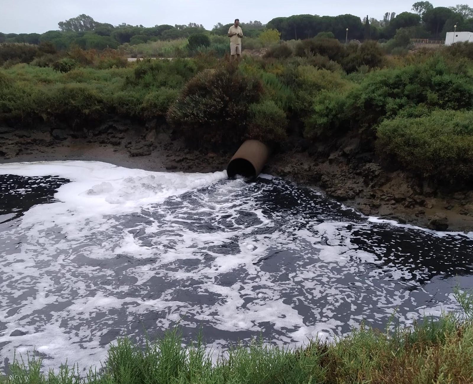 Vertido denunciado por la fundación Savia y Cuidemos Isla Cristina