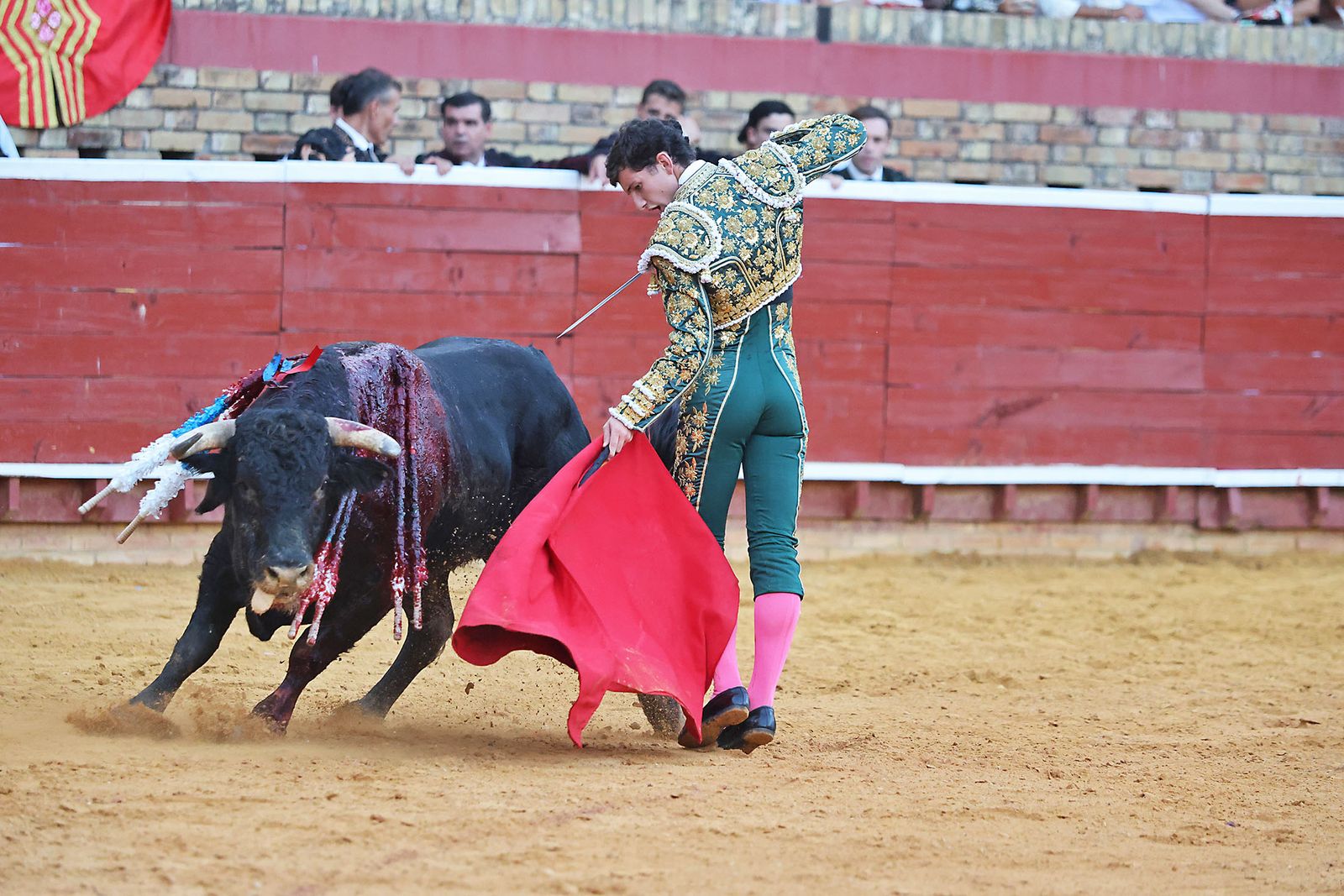 Toros La Merced 2024 Novillada con picadores(
