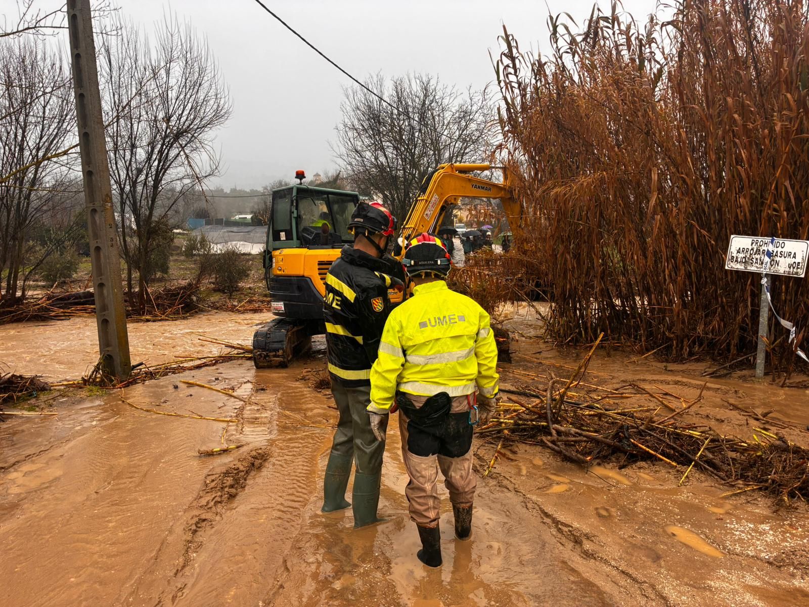 La UME ya trabaja en la Serranía de Ronda para despejar caminos