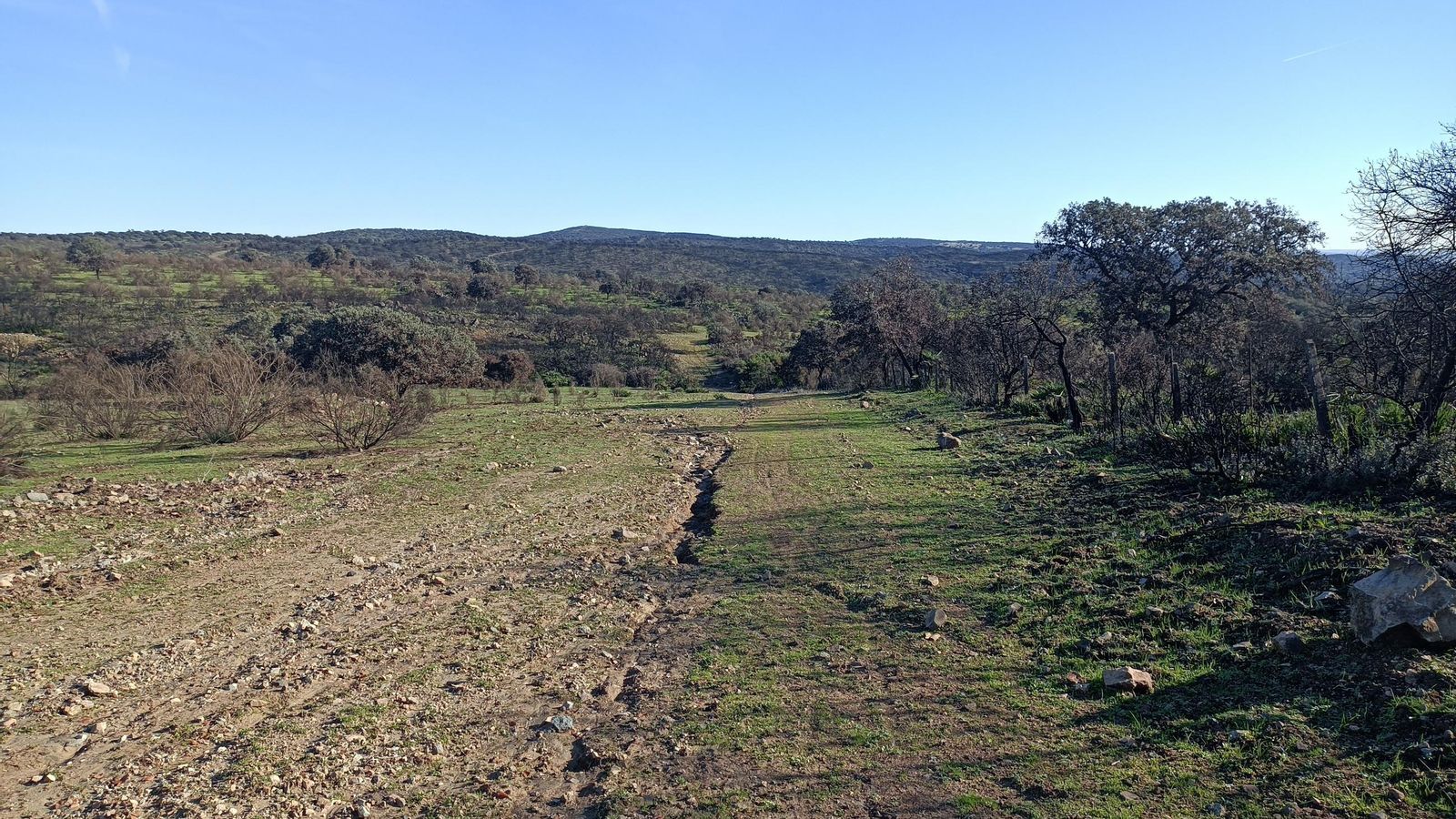 Esta especie de cortafuegos marca el límite entre Castilblanco y Burguillos.