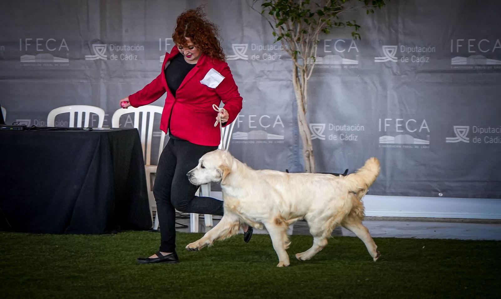 Espectacular exposición canina en Ifeca Jerez, en imágenes