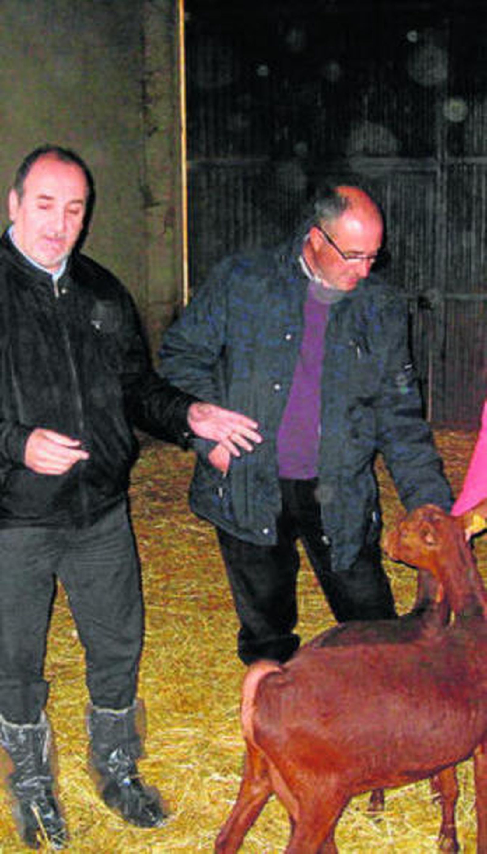 Almería es una potencia en leche de cabra en Andalucía y en España.