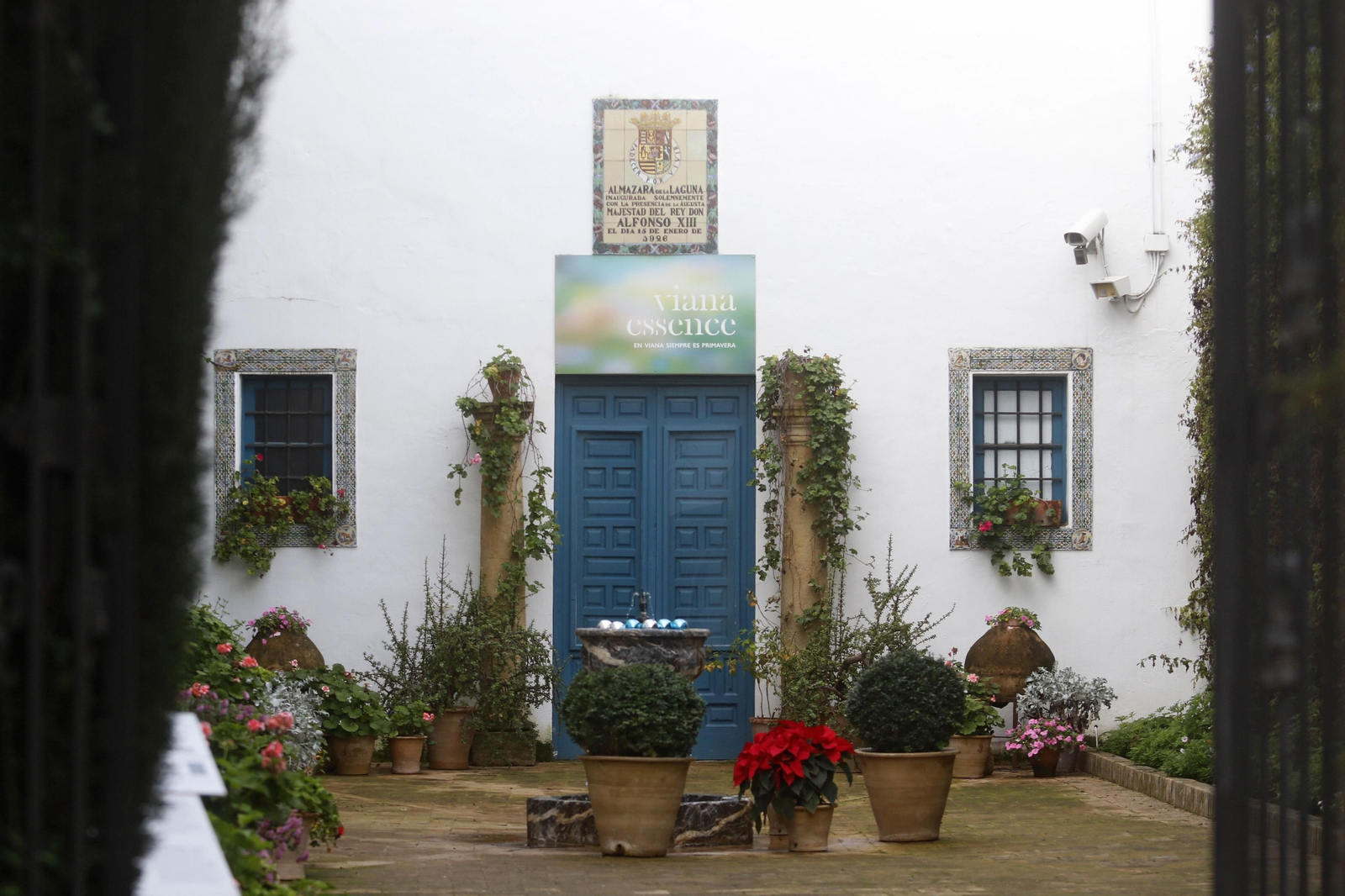 El Palacio de Viana en Navidad, en fotografías