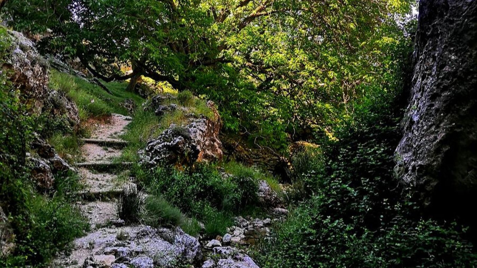 Alrededores de la Cascada del Saltaor.