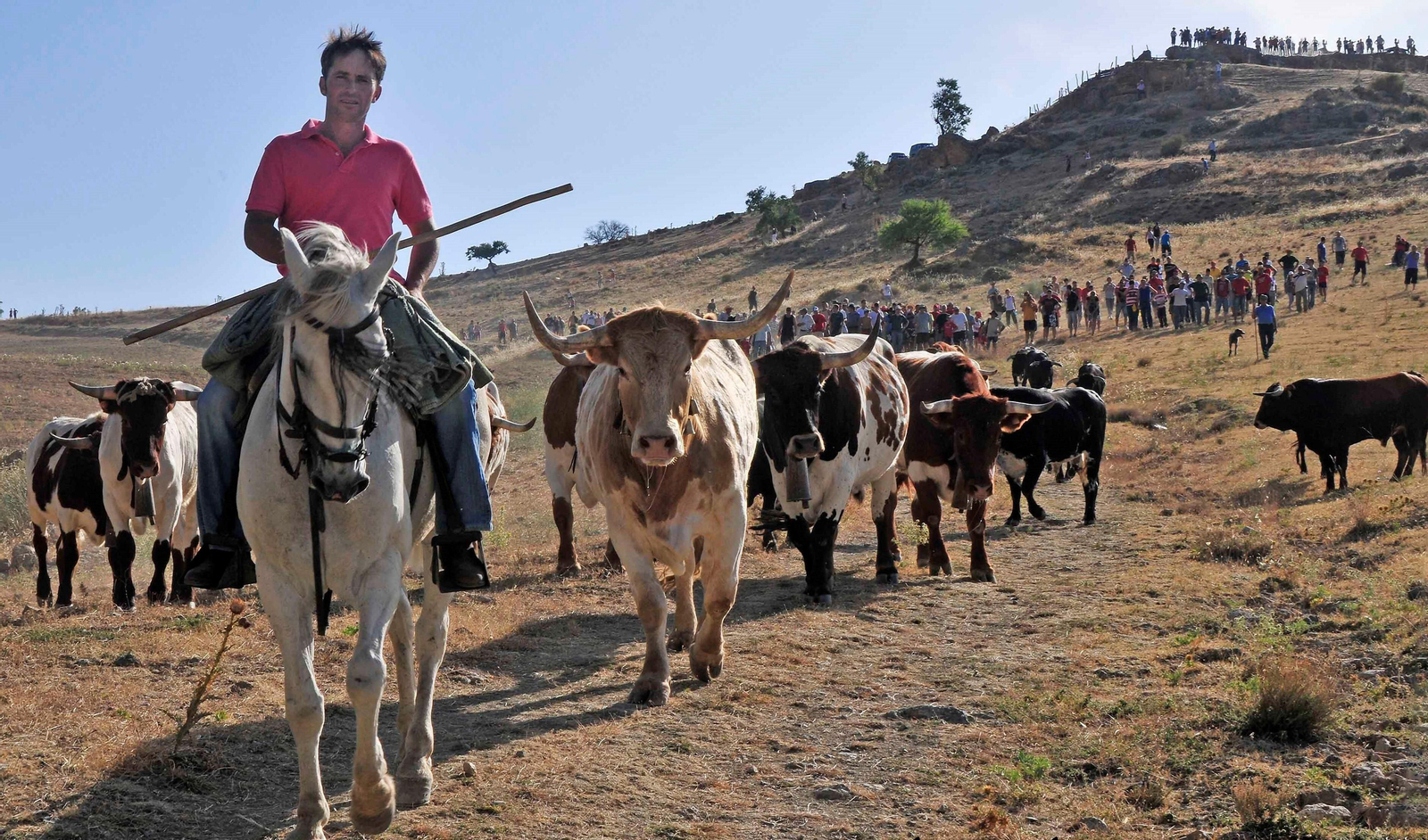 Las fiestas taurinas Gor y Jérez del Marquesado, camino de ser declaradas fiestas de interés turístico de Andalucía