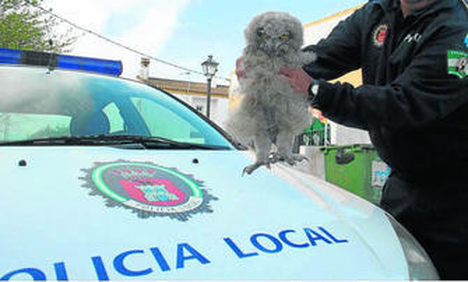 Un agente de la Policía Local muestra el nuevo ejemplar recuperado.