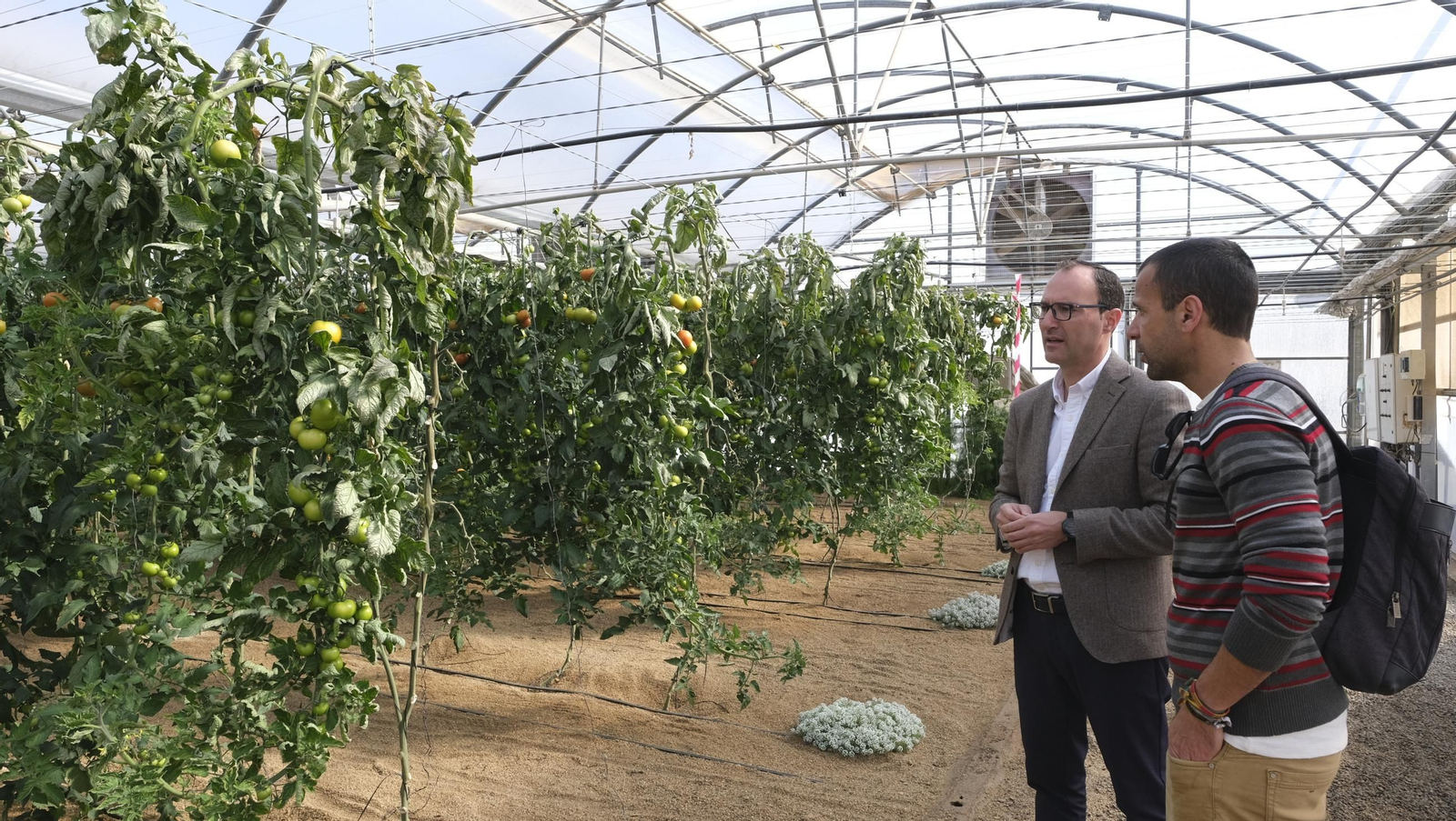50 años de la Estación Experimental Cajamar-Las Palmerillas, en fotos