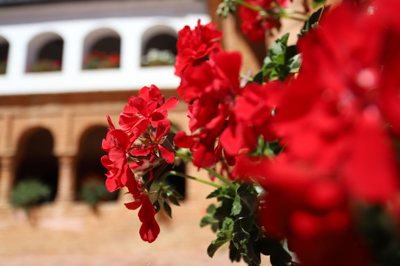 Estado de deterioro en el que se encuentra las pinturas murales del patio mudéjar de La Rábida.