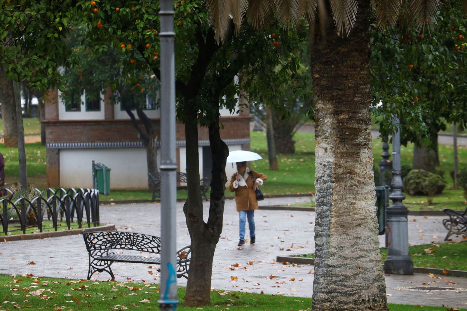 El paso de la borrasca Goretti por Córdoba