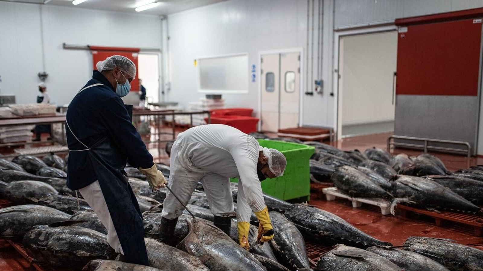 Mojama, caballa y sardina, bocados de mar con sabor a Huelva