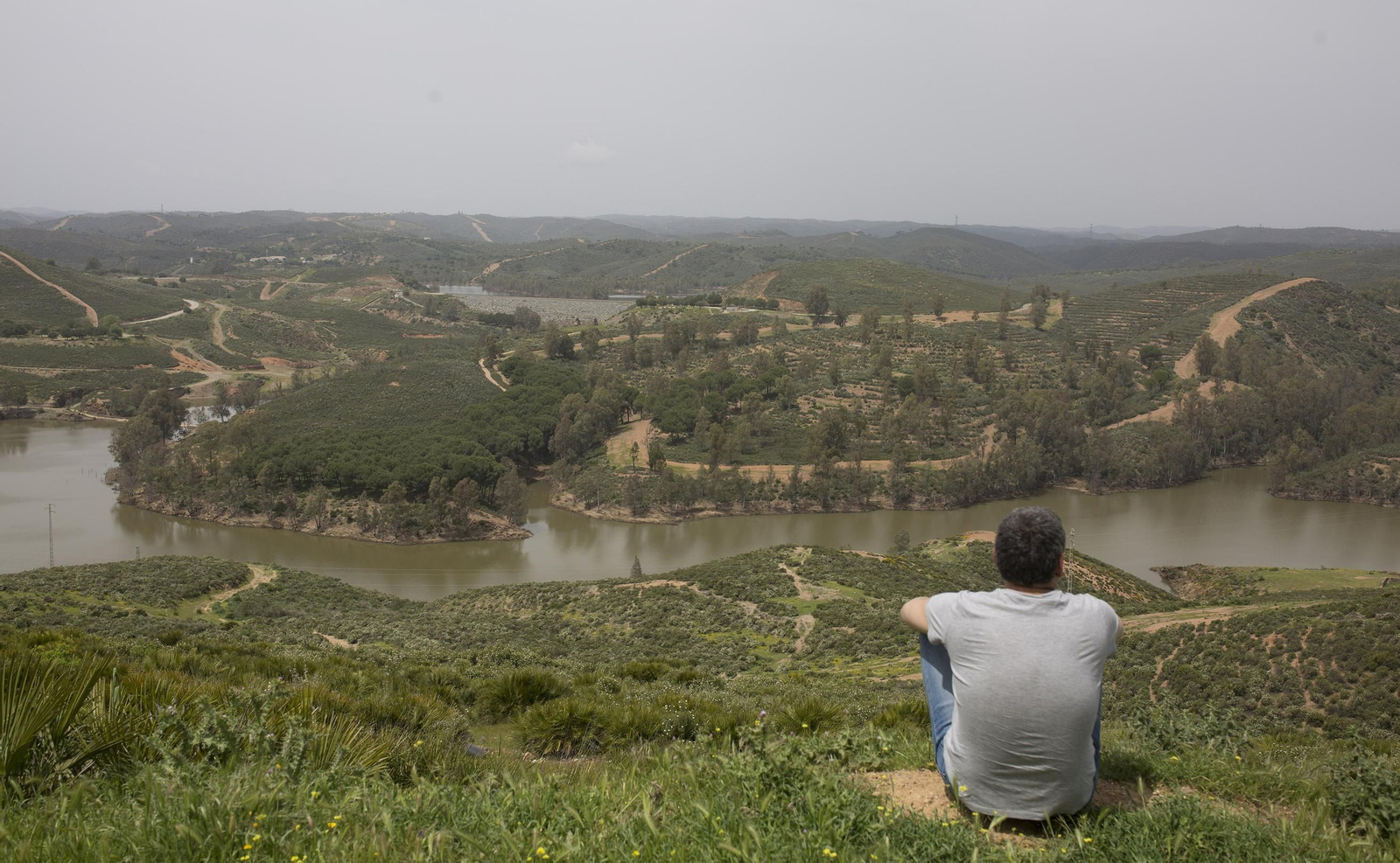 Engranajes Ciencia guía las visitas al corredor verde del Guadiamar, en octubre.