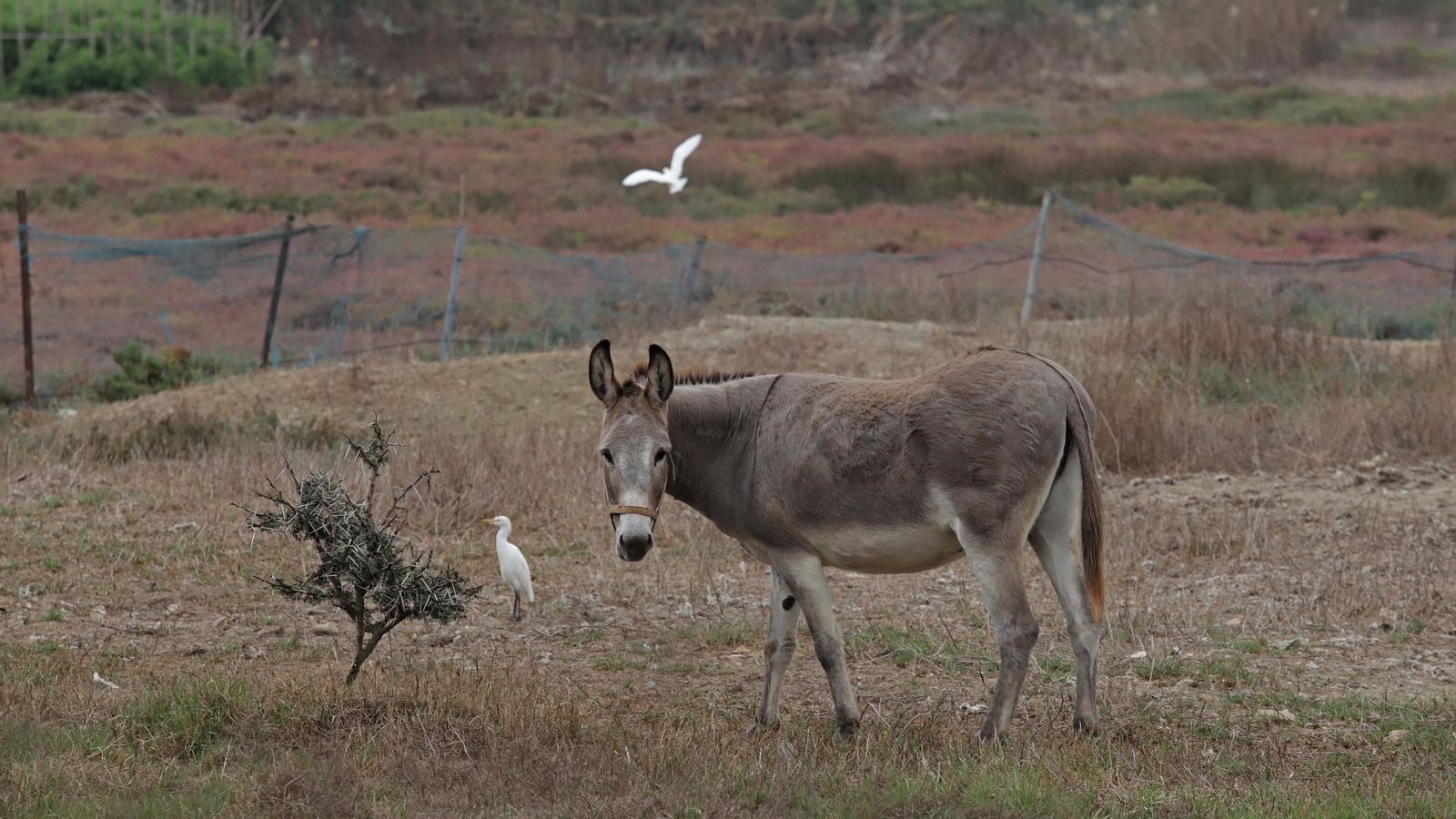 Fotos del parque del Torrejón en Algeciras