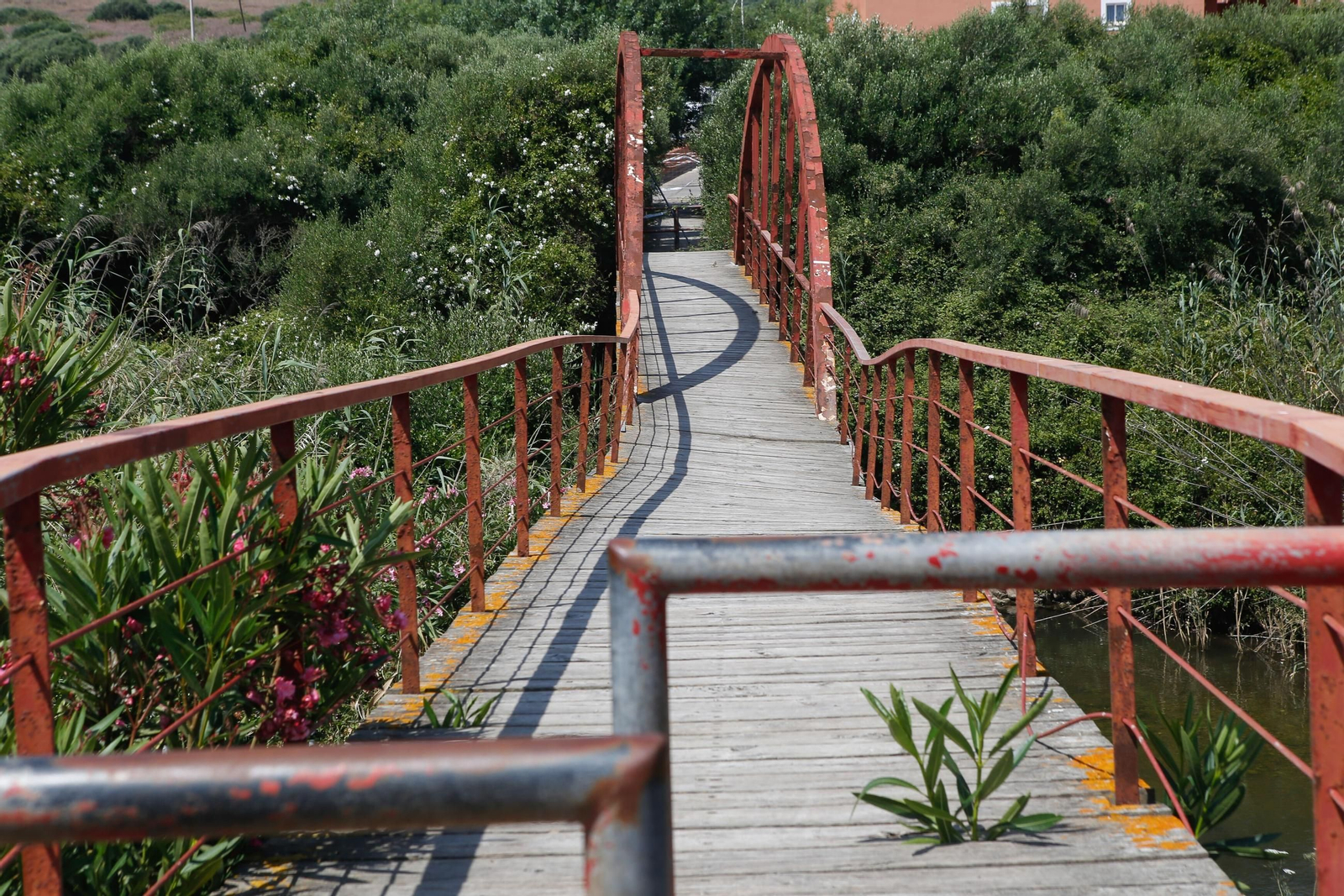 El Ayuntamiento de Algeciras ha puesto en marcha la maquinaria para rescatar de la ruina a la pasarela peatonal sobre el río Pícaro.