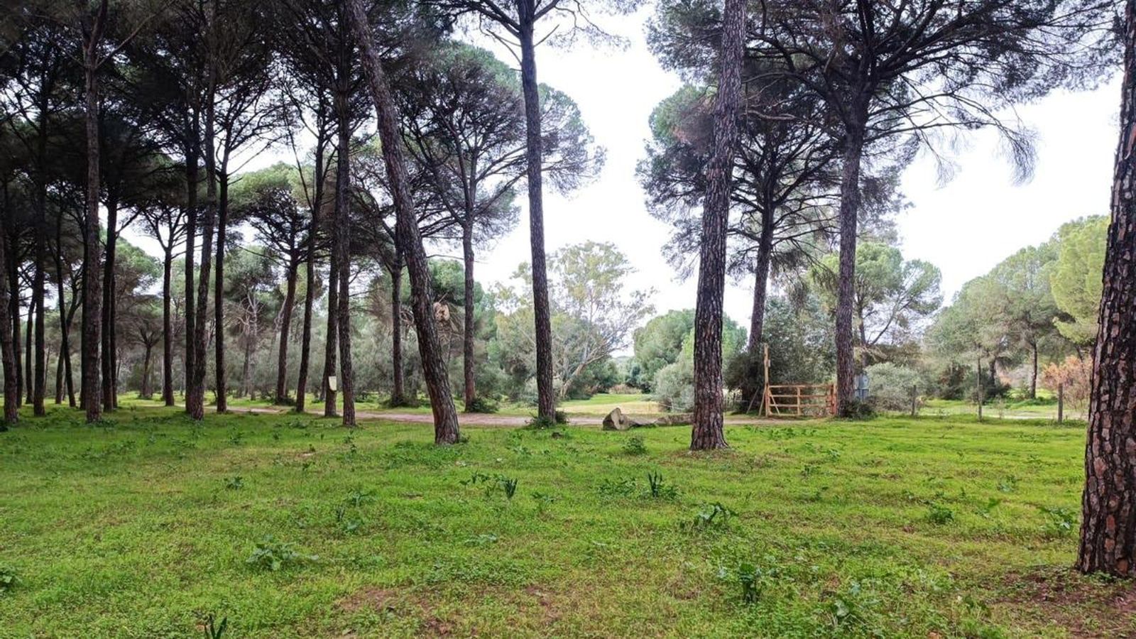 Conectamos con un carril en este punto.