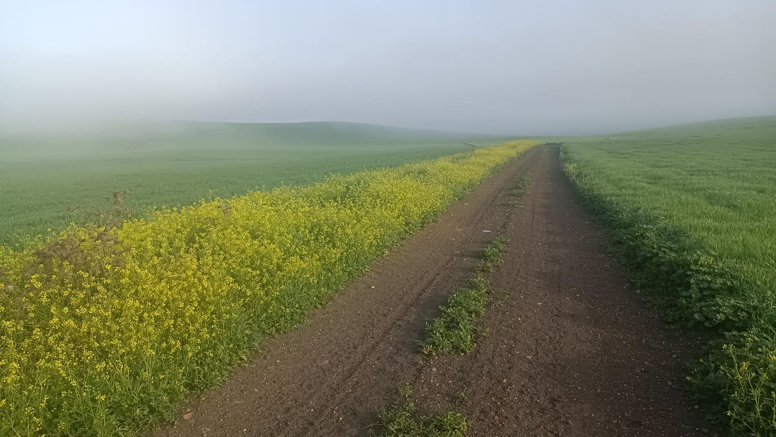 Avanzaremos siempre por un terreno muy llano.