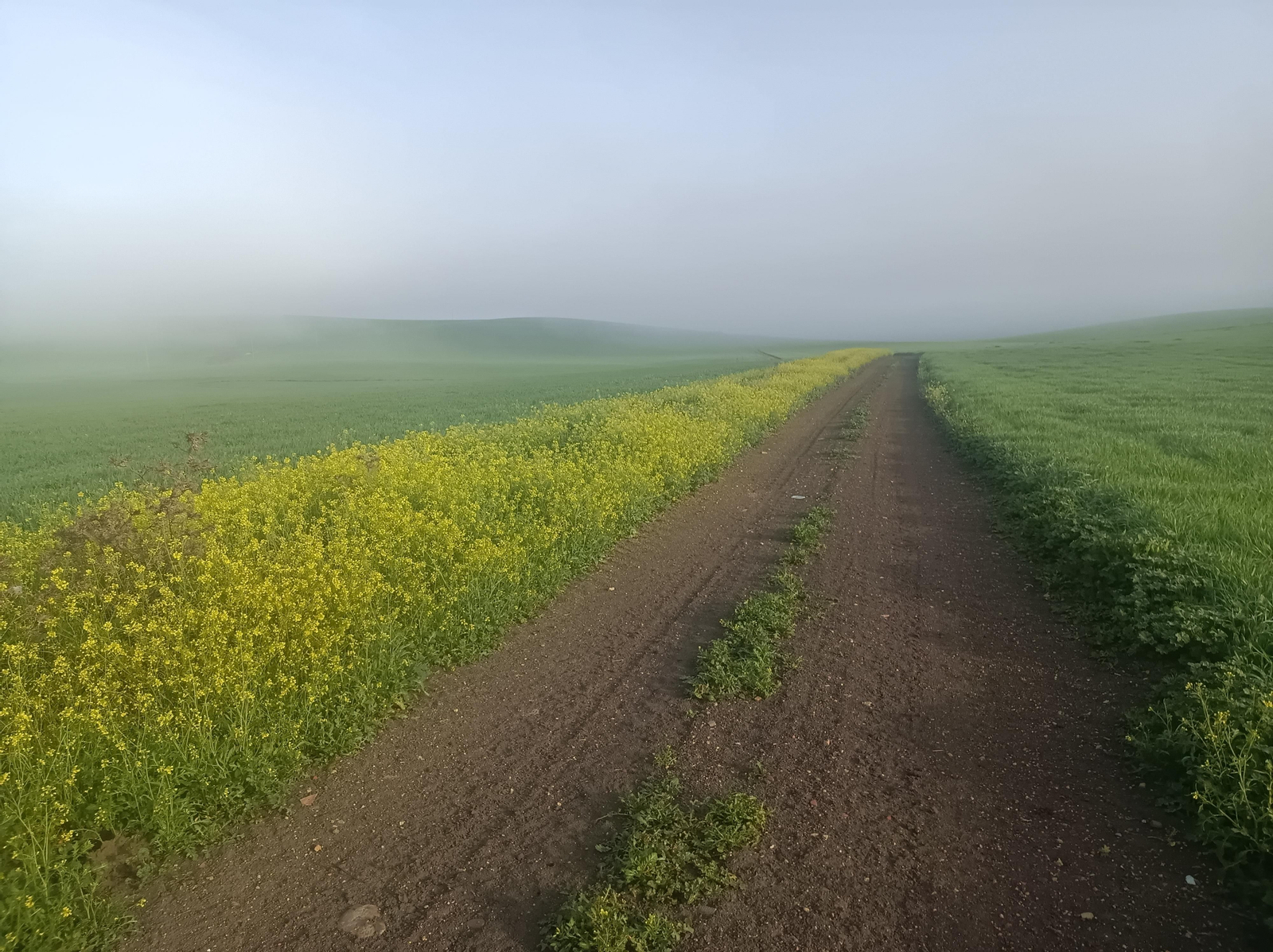 Avanzaremos siempre por un terreno muy llano.