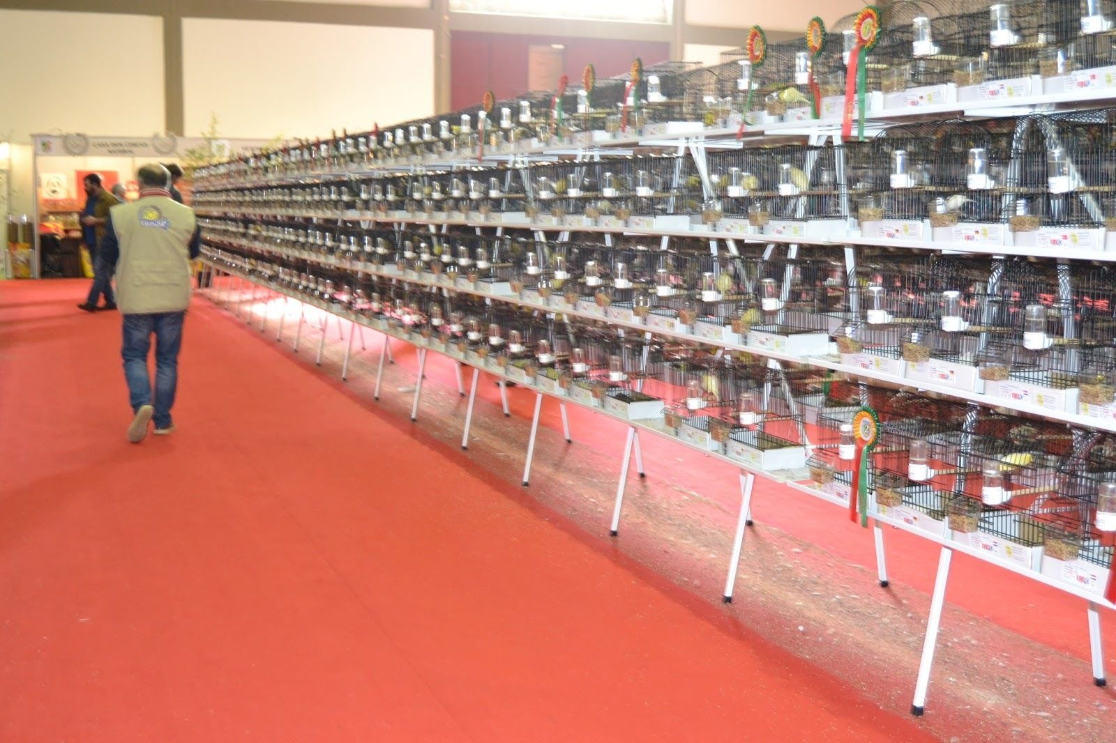 La anterior edición de este campeonato mundial se celebró en Portugal.