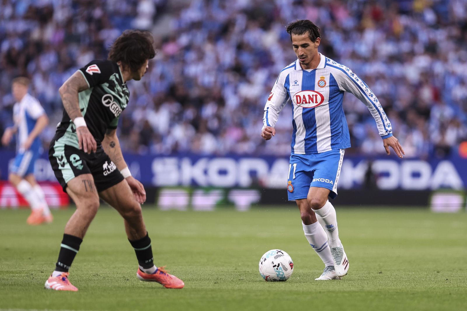 Las mejores fotos del Espanyol-Betis