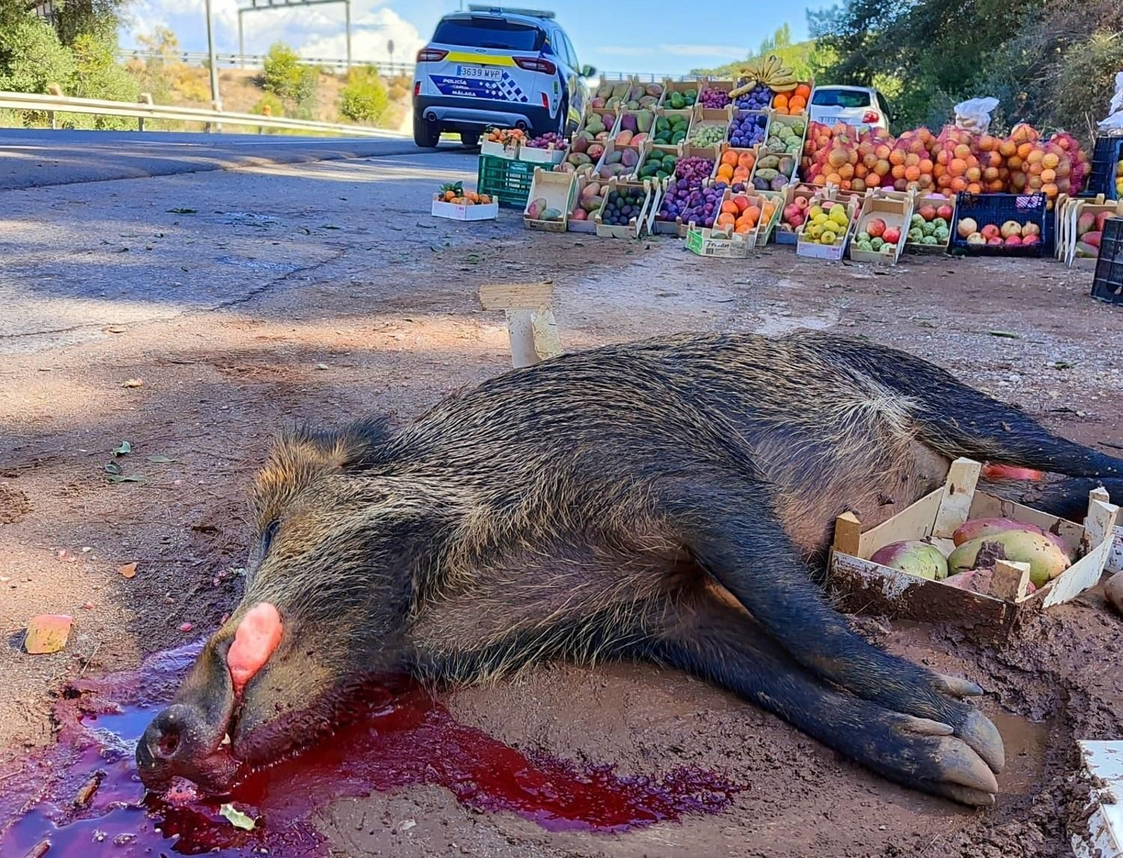 Lugar del accidente.