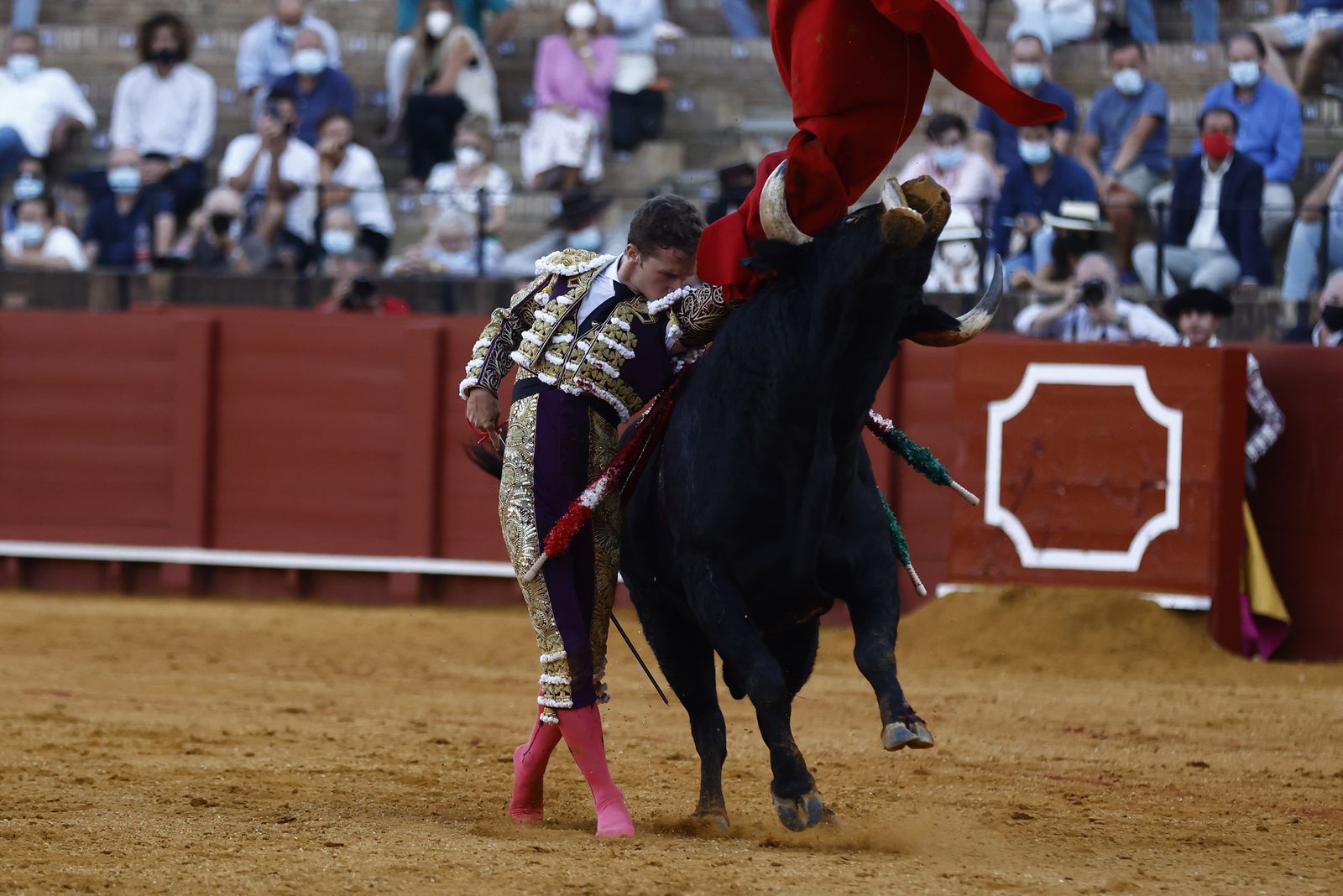 Fotos de la segunda novillada de la feria de San Miguel de Sevilla