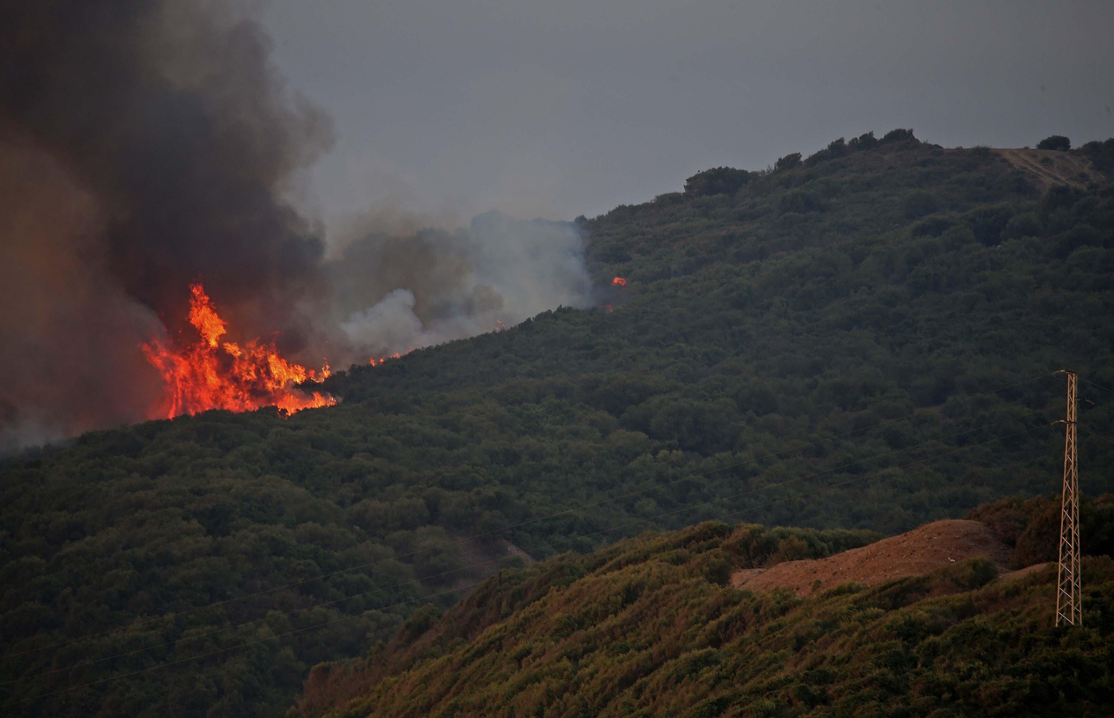 El incendio forestal  de Algeciras, en imágenes