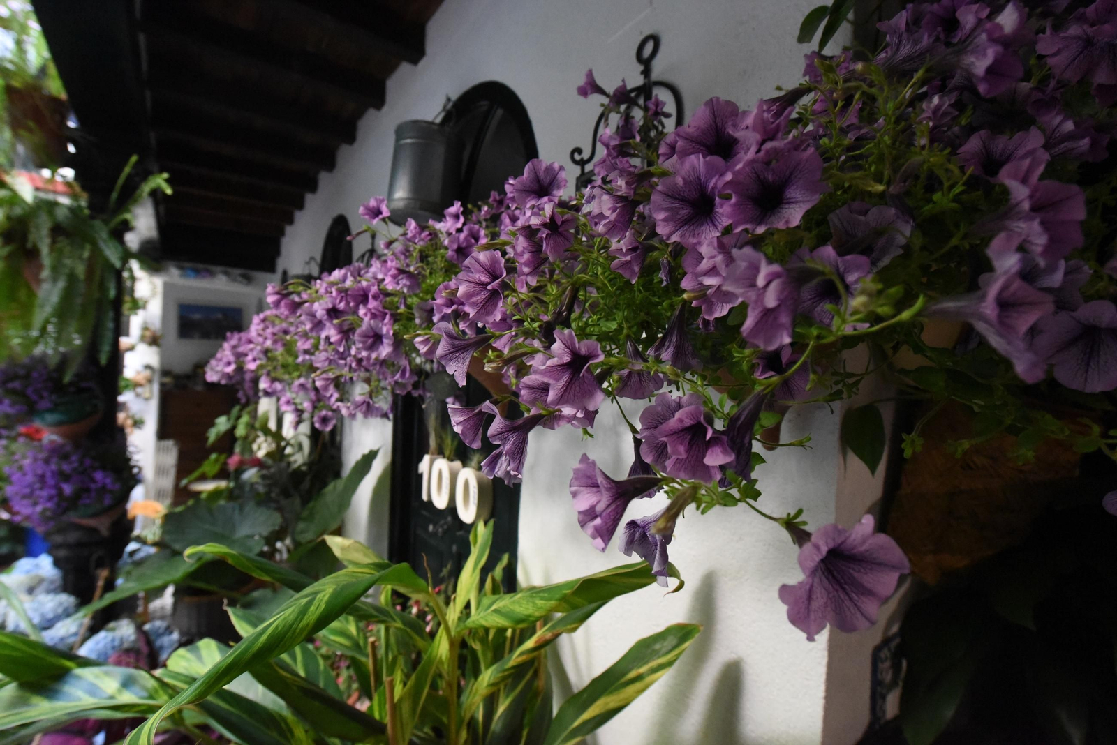 Una ruta en imágenes por los patios de la Judería y San Francisco