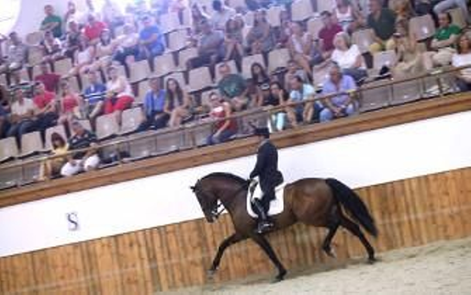'Altaneiro' enseña su sangre torera en la casa del caballo español