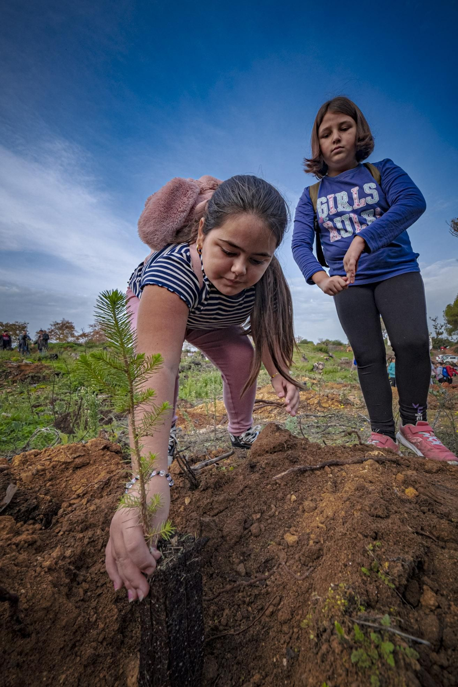 Las imágenes de escolares reforestando el pinar de Las Canteras de Puerto Real.