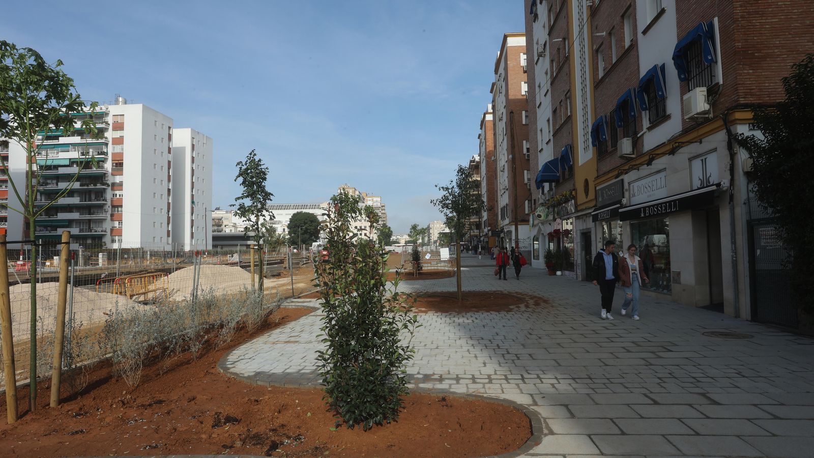 Algunas especies de árboles ya lucen en la avenida.